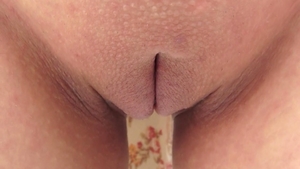 Shaved Pussy