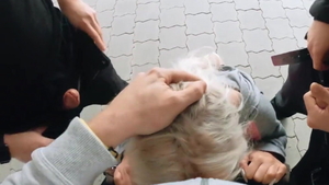 Blowjobs together with very hot european blonde hair Kate Truu