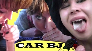 Swallow in company with prostitute