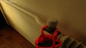 Vampire has a passion for fucking