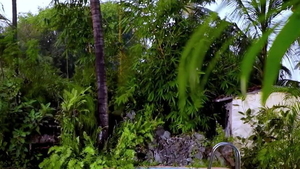 Wife swap big ass Muslim Arab